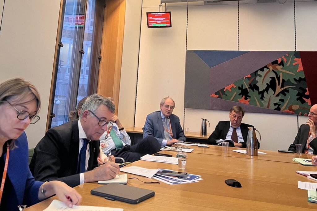 Edward Lucas speaks at the far end of a committee room table in the UK Parliament while MPs and peers take notes.
