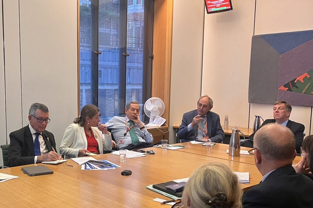 Edward Lucas gestures as he speaks, seated at a table with MPs and peers in a UK Parliament committee room.